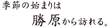 季節の始まりは勝原から訪れる