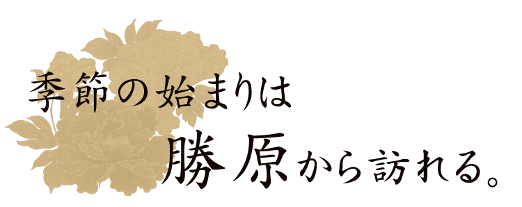 季節の始まりは勝原から訪れる